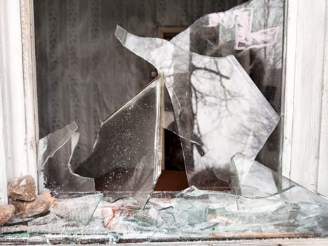 Shattered glass from a window reveals an abandoned room while reflecting tree branches outside on a cloudy day.
