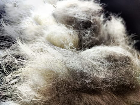 Soft, fluffy white fibers intermingling to form an abstract texture ideal for artistic backgrounds and creative designs.