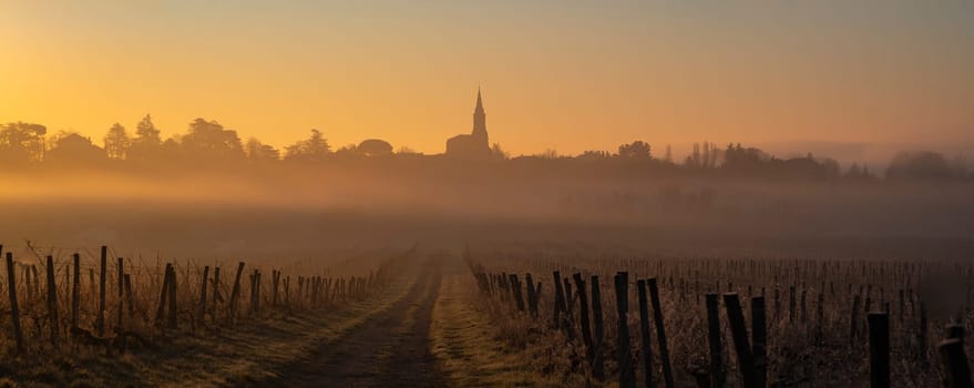 A serene vineyard landscape unfolds in Tabanac, Gironde, as the sun rises behind the hills. The winter fog envelops the vines, casting a mystical glow with warm orange tones