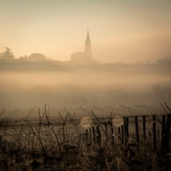 A serene vineyard landscape unfolds in Tabanac, Gironde, as the sun rises behind the hills. The winter fog envelops the vines, casting a mystical glow with warm orange tones