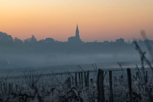 A serene vineyard landscape unfolds in Tabanac, Gironde, as the sun rises behind the hills. The winter fog envelops the vines, casting a mystical glow with warm orange tones