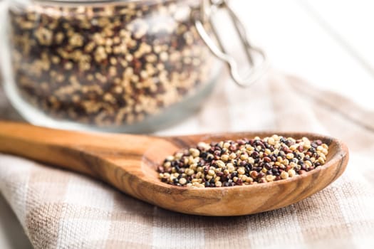 Mixed uncooked quinoa seeds on wooden spoon on a white table.