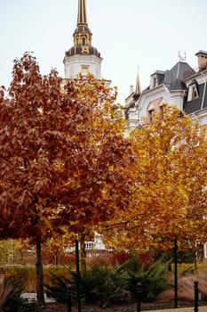 bright autumn in a residential area. bright yellow and red trees in the foreground. residential building in the distance. yellow trees are maple and birch.