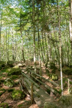 Forests in the Orlu National Wildlife Reserve, in Ariège, the Maison des Loups in France.