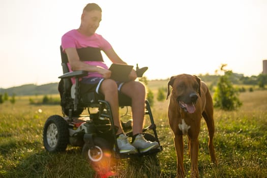 A young LGBT person with a disability uses a tablet while enjoying time with his dog at the park from a wheelchair at sunset