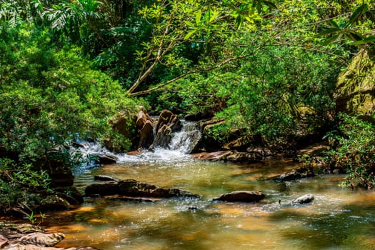 Small river running through the forest among the rocks and vegetation in the state of Minas Gerais, Brazil