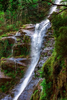 Waterfall and rocks seen among the dense rainforest vegetation in Minas Gerais, Brazil