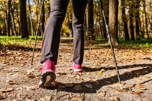 Nordic walking adventure and exercising concept - woman hiking, legs and nordic walking poles in autumn nature