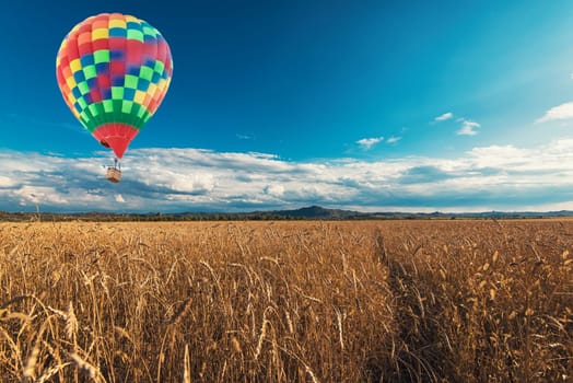Balloon above the wheat field in mountains on sunset