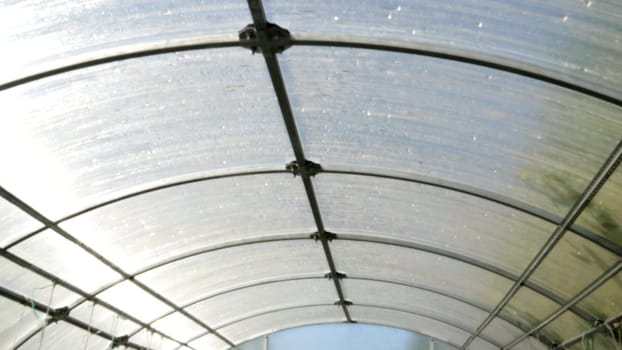 4k video, polycarbonate greenhouse in a private garden. Inside view close-up of the roof.