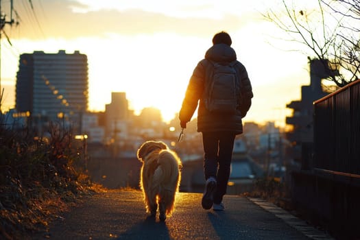 A person walks their dog at sunset, surrounded by a beautiful city skyline. The golden light creates a serene atmosphere of companionship and leisure.