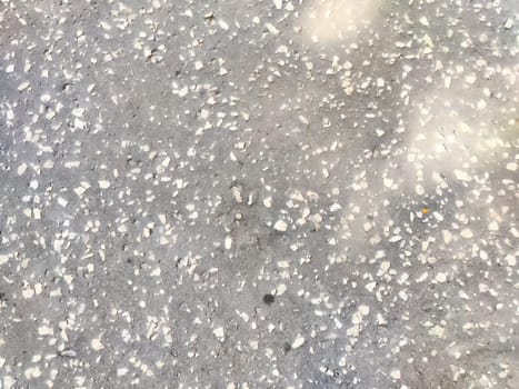 A close-up view of a gray textured surface scattered with small white and light-colored particles, ideal for adding text or graphics.