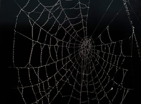 Close-up of a spider web with small water beads against a black background.