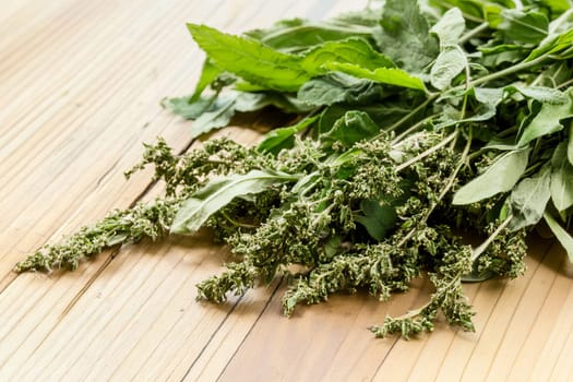 Fresh and dried herbs on wooden surface for culinary and medicinal uses
