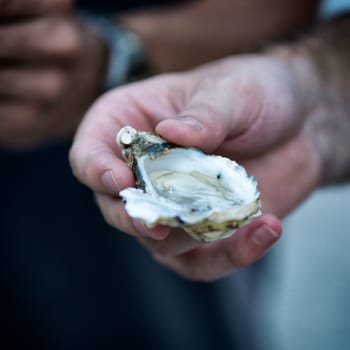 Open oyster in hand