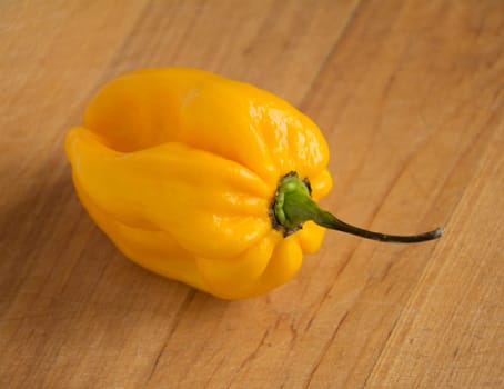 Yellow chili pepper