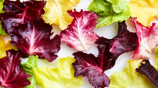Colorful mix of fresh lettuce leaves of different varieties creating beautiful food background.