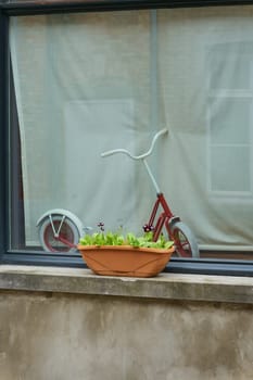 Flowers as decoration on a windowsill and a scooter behind a window pane in Bruges, Belgium