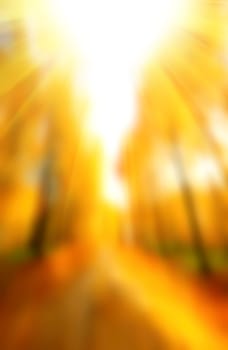 Abstract blurred background. A path lined with trees in vibrant autumn colors. The sunlight filters through the leaves, creating a dreamlike haze. 