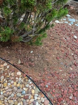 Overgrown Landscape with Rocks and Dried Vegetation. High quality photoA close-up view of an old landscape featuring a mix of decorative stones and lava rocks, with overgrown dried vegetation in the center. The area shows signs of neglect and requires renovation to restore its aesthetic and functionality.