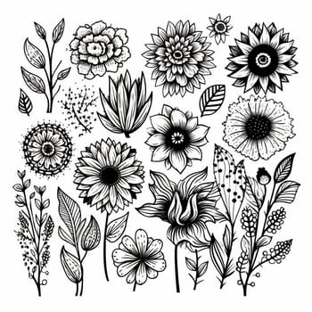 Black and white drawings of flowers and plants, hand drawings - image