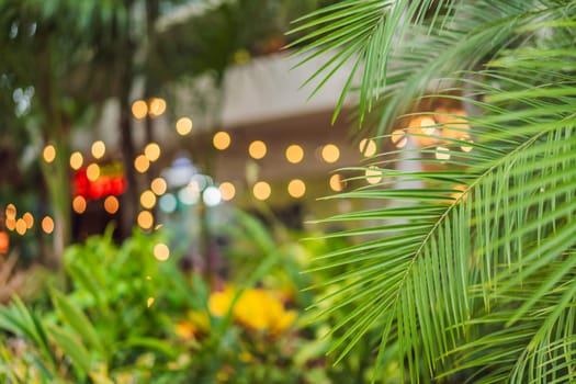 A green leaf of a palm tree against the background of lights and windows. Atmospheric interior design. URBAN jungle on the background of the window.