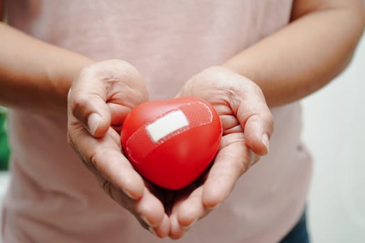 Asian woman holding human internal organ model, donation charity volunteer concept. 