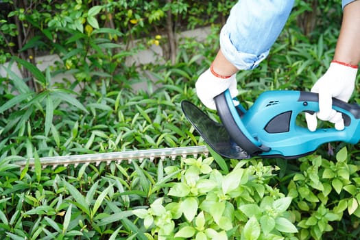 Gardener trimming bush by electric hedge clippers in garden. Hobby at home.