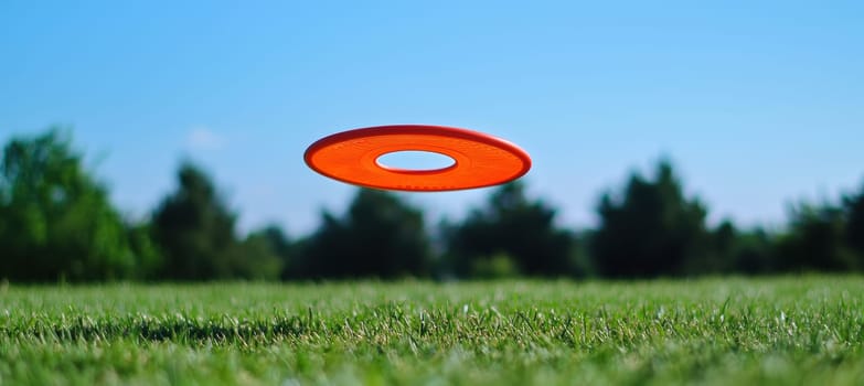 A vibrant shot of an orange frisbee spinning through the air, set against a lush green grass field and a clear blue sky, the dynamic movement and playful energy of an outdoor activity in a natural setting.
