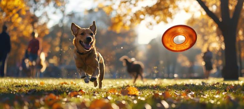 A lively dog leaps midair towards a frisbee, radiating excitement and agility in an autumn-lit park. other pets and their owners add to the vibrant, joyful atmosphere. ideal for designs celebrating pet enthusiasm and outdoor adventures.
