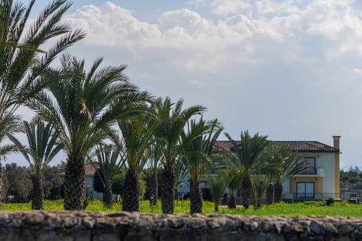 Green palm trees sway gently as a lovely house stands proudly amid the vibrant countryside landscape.