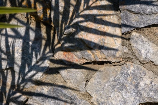 Delicate shadows dance on a rugged stone wall, creating a natural masterpiece in a serene garden setting.