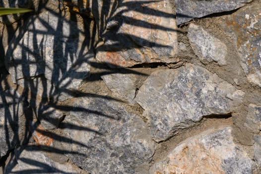 Shadows from nearby foliage play on a rugged stone wall, creating a captivating interplay of light and texture.