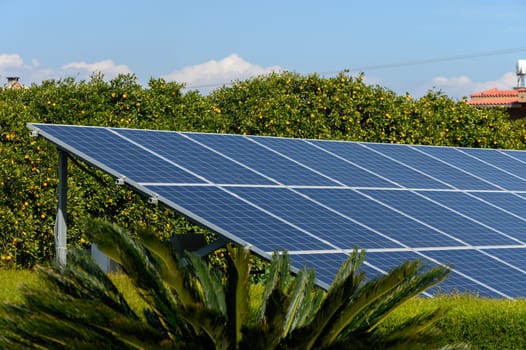 Rows of solar panels soak up the sun's energy amidst vibrant green trees and a serene atmosphere.