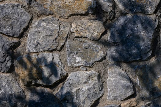 Sunlight filters through branches, casting lovely shadows on a textured stone wall, showcasing nature's beauty.