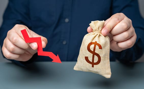 A man holds a red arrow pointing down near a dollar money bag. Financial difficulties, losses and reduced profitability. Economic downturn. Salary cuts. Financial stress. Devaluation of currency