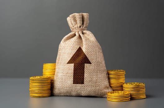 Money bag with up arrow. Rise of profits. Increase in the deposit rate. Inflation acceleration. Investments. Increase income and business efficiency. Economic growth, GDP.