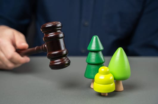 Judge with gavel and forest. Legislative protection of forests and nature reserves. Quotas and rules for use. Sale of natural resources through auction.