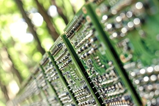 Circuit boards in natural environment for eco-friendly technology concept.