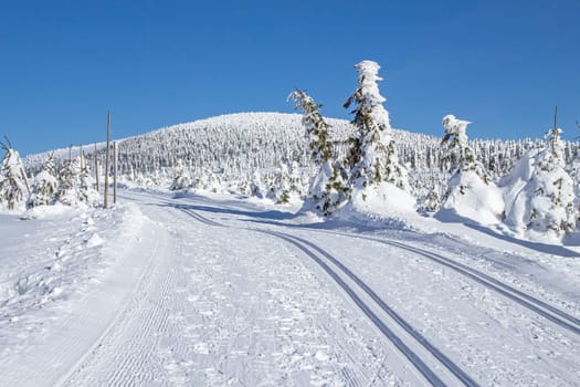 View of winter snowy mountain landscape with groomed cross-country ski trails. Horizontally.