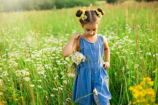 A cute little girl in blue dress walks through a field of daisies on a sunny day. copy space.