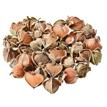A heart-shaped arrangement of dried seed pods, perfect for autumnal decorations or craft projects.