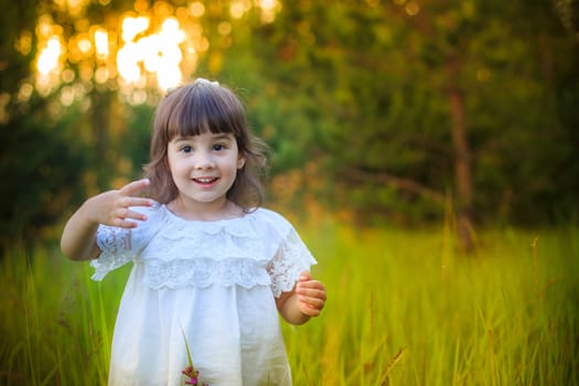 A charming happy little girl in a white dress stands in a field near a coniferous forest in summer,look at camera