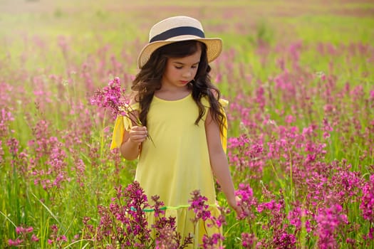 Romantic beautiful little girl walks in a straw hat in a flowering field, holds a bouquet of burgundy viscaria flowers in summer. copy space.