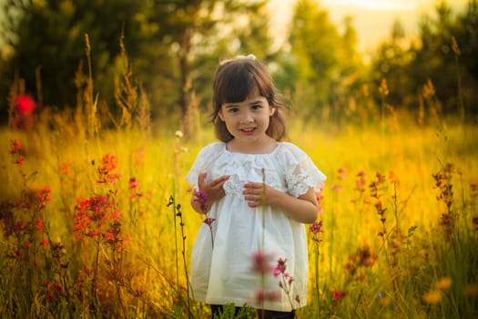 Adorable little cute girl in white dress standing in warm sunlight in blooming field, look at camera