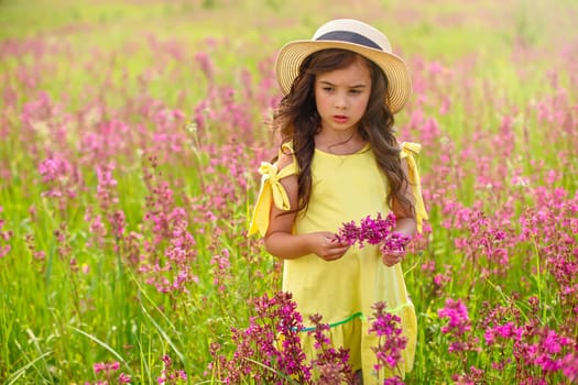 Thoughtful beautiful little girl walks in a straw hat through a flowering field, holds a bouquet of burgundy viscaria flowers in summer. copy space.