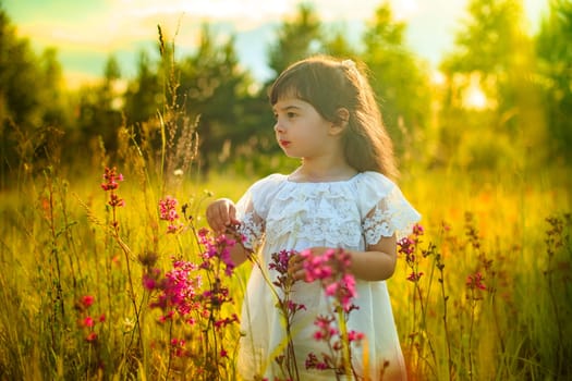 A charming little girl in a white dress stands in the rays of warm sunlight on a blooming field, looking away. Copy space