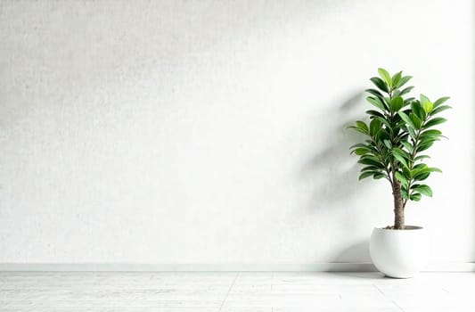 A minimalist interior showcases a potted plant placed beside a textured wall, creating a serene and uncluttered atmosphere with ample space for text.