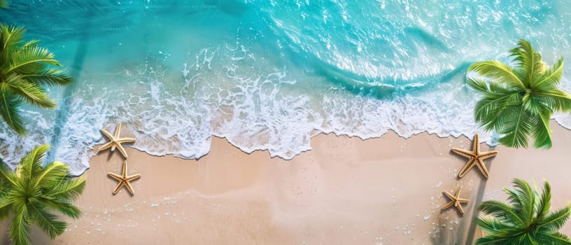 Expansive beach view with foamy waves and scattered starfish, framed by lush palm trees. Copy space for advertising, presentation product or text