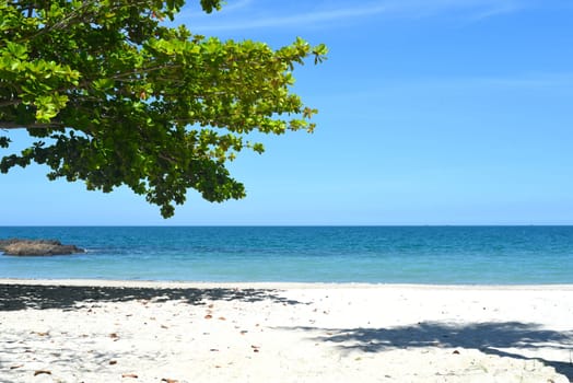 Sandy beach landscape in Vietnam
